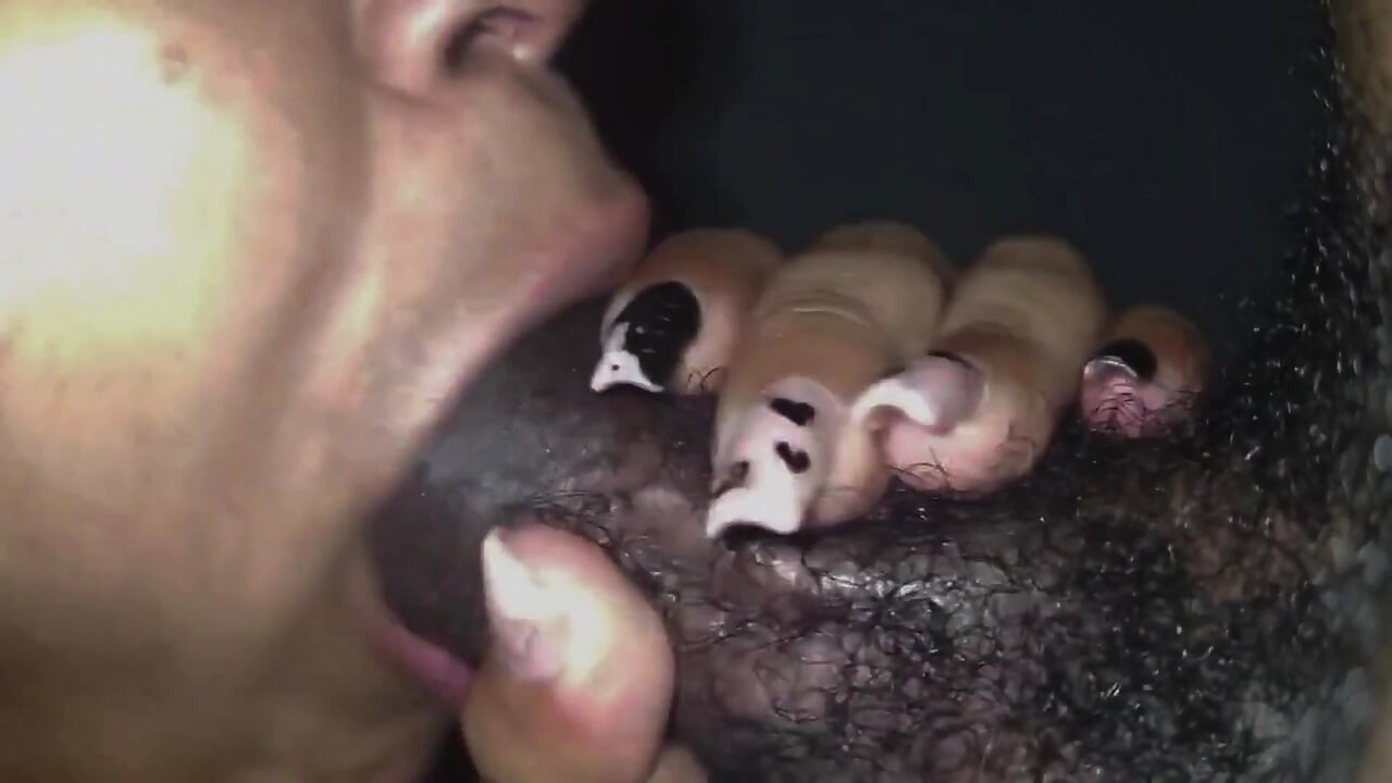 Season Three - Lil Latina - Shower Carpet Muncher