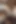Young Latina Surprised With Cock In Her Face And Milk In Her Ass.