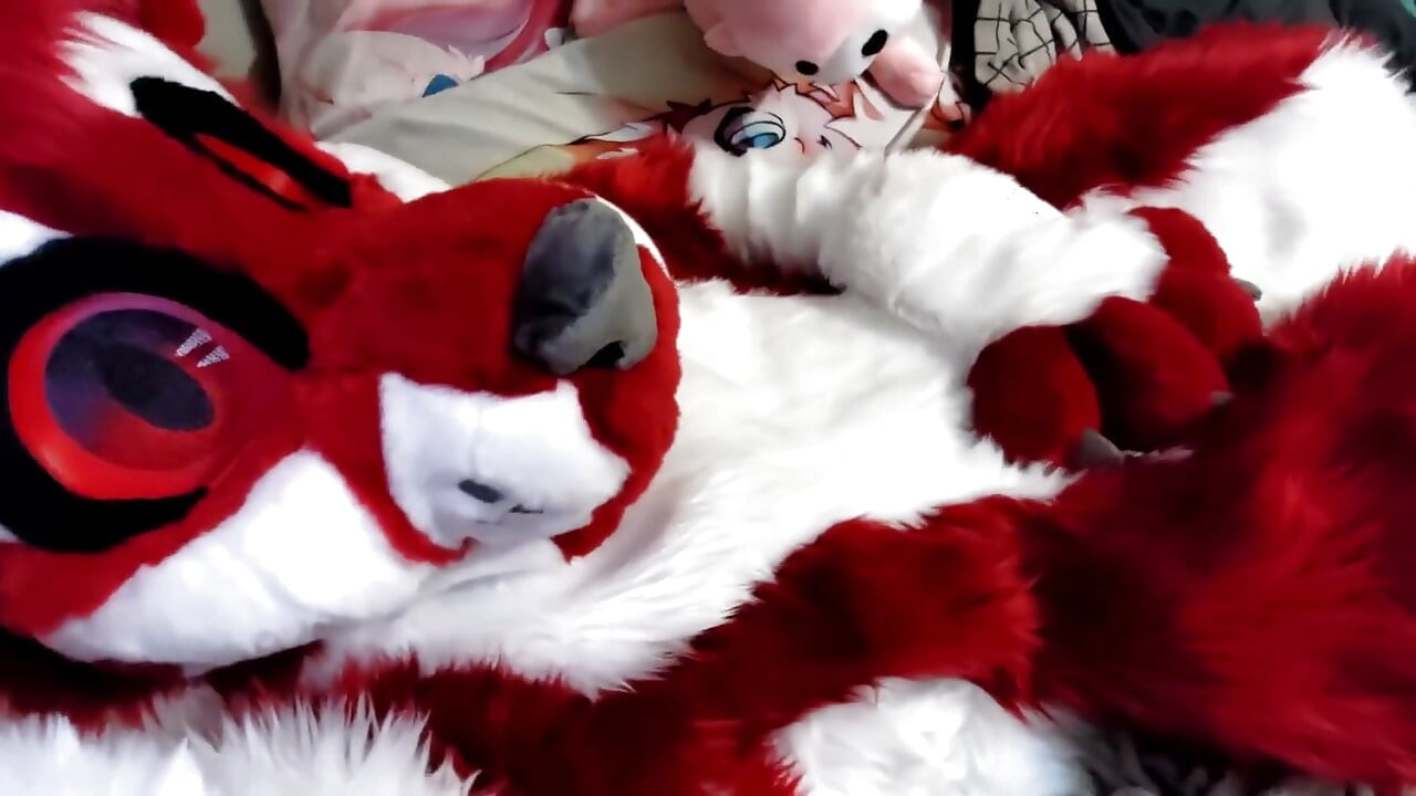 Runkar av och visar fotpapper i Helkropps fursuit