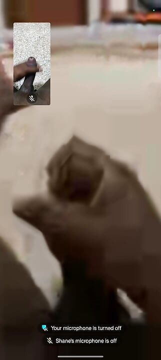 Two boys are in video call masterbating