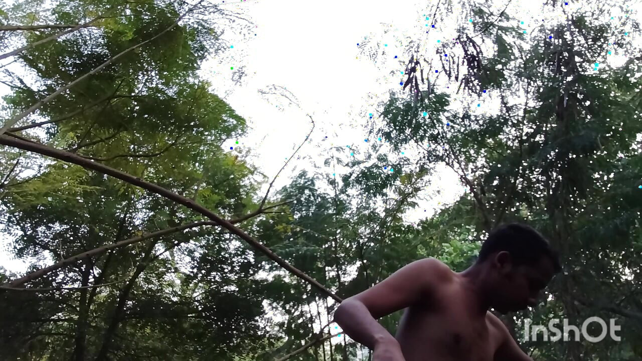 Volledige Masti