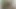 Hintli kadın sakso çekiyor