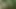 I'm jerking off in the forest for the first time !