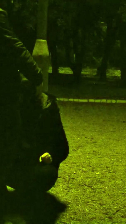 me on a leash like a dog while the traffic passes around us and anyone can run into us... priceless. | Clip 1