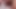Young handshome asian boy cock edging massage in close up shot resulted to a hot creampie cumshot