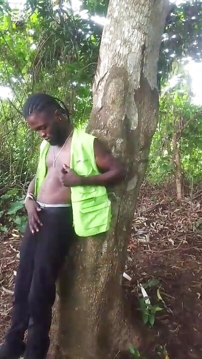 Inside Bush Fucking After Smoking...