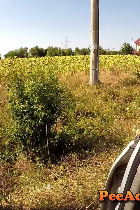Pee on the windshield (view from inside the car)