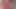 SHEMALE CUMSHOT 7.5 Mature shemale suck cock & cumswalow sh