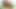 Seksi latin genç üvey kızı papi&#39;nin horoz üzerinde boşalan