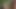 Si matang panas dikongkek berganda di dalam hutan ...