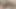 Ona binmek için evde üvey erkek kardeşiyle yalnız kalıyor