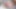 Redhead genç dolly küçük kedi doğru şekilde dövülerek