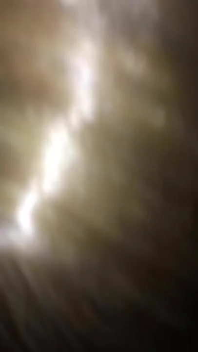 White sissy sucking my black cock