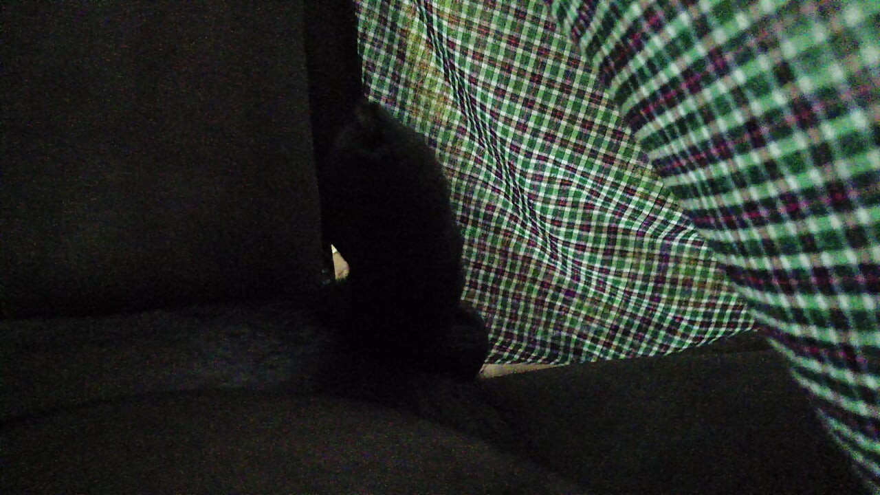 18세 이상 자지를 2개 따먹는 18세 소녀