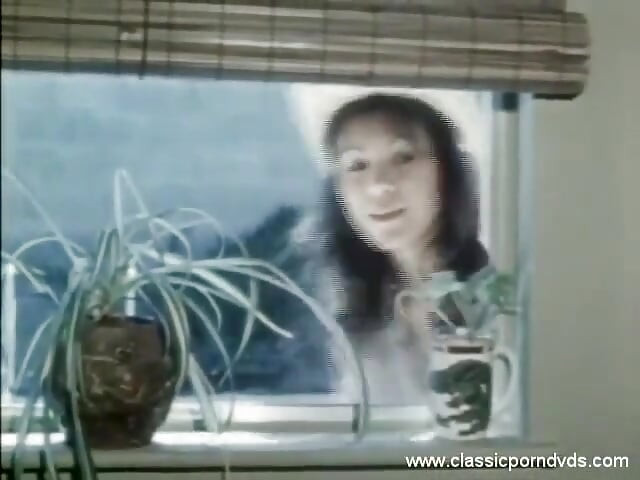 Классические порно DVD: Наездница выходного дня: часть 2