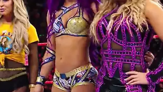 WWE - Sasha Banks with Trish and Natalya fighting  Alica Fox