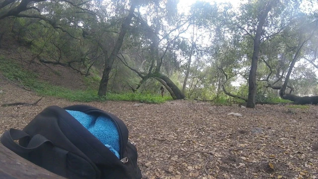 in the park