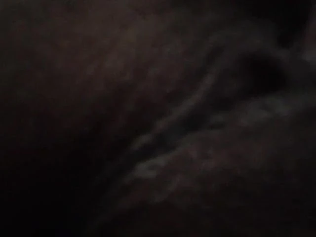 Kitty