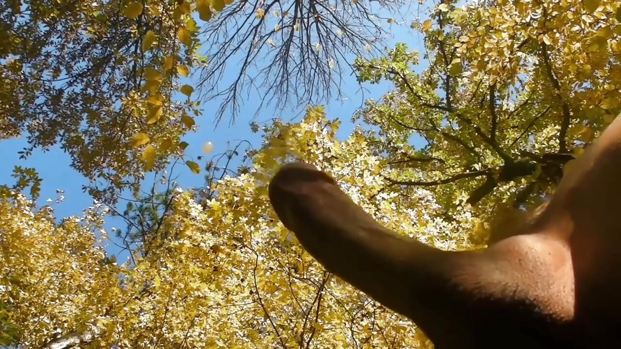 Art Cumpilation 1