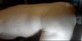 Pratinjau video