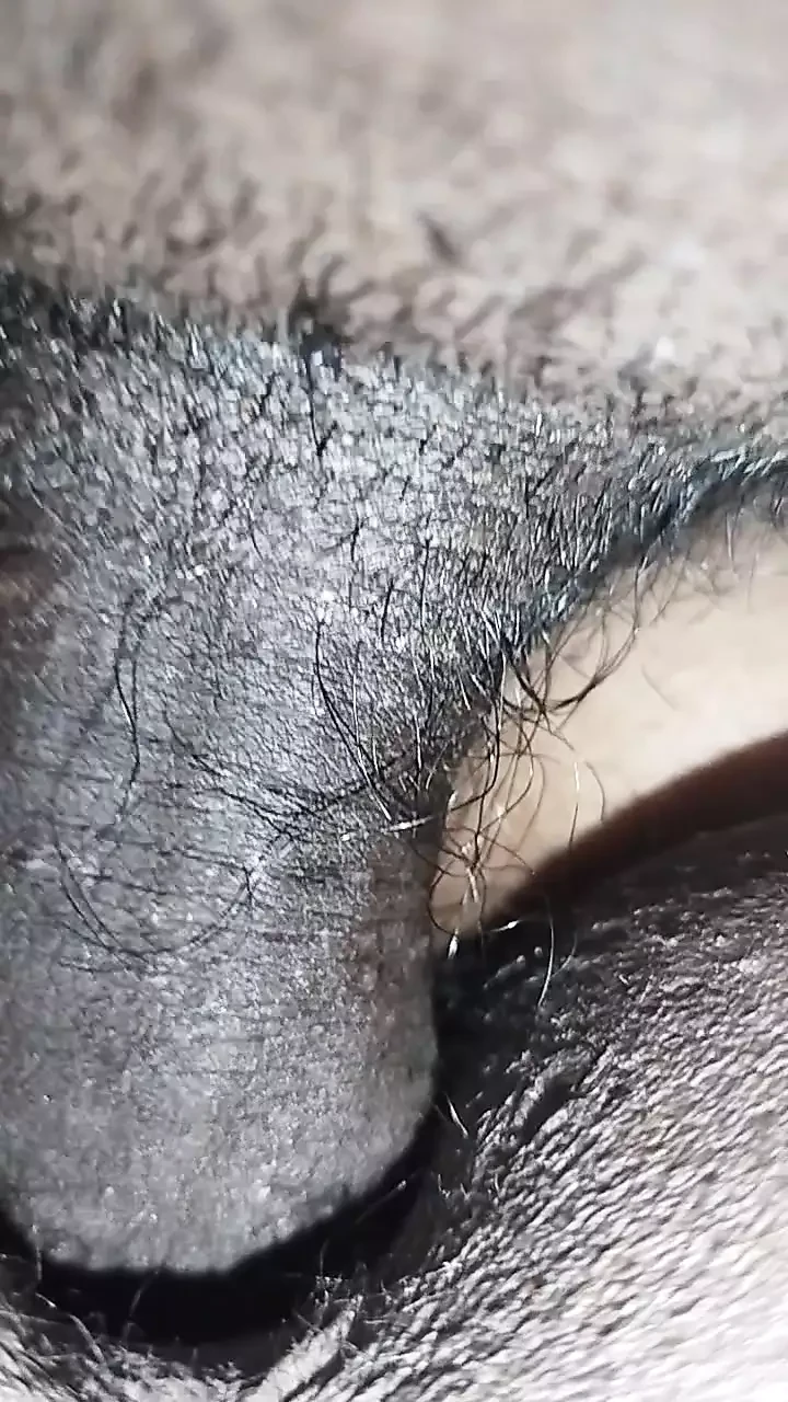 泰米尔阿迪性爱
