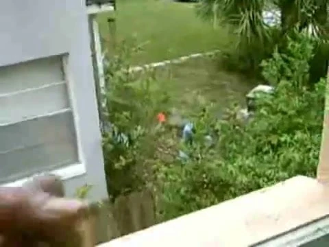 Holiday hotel flash cock at male gardener