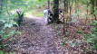 Pratinjau video