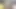 Facials4k - счастливые студенты трахаются в тройничке с несколькими камшотами на лицо