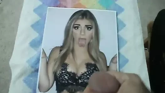 Tamamen kapalı torie v!