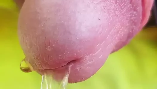 Piss
