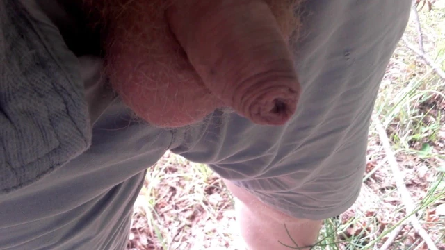 Rothaariger Vorhaut Schwanz pisst die Wald Bank voll