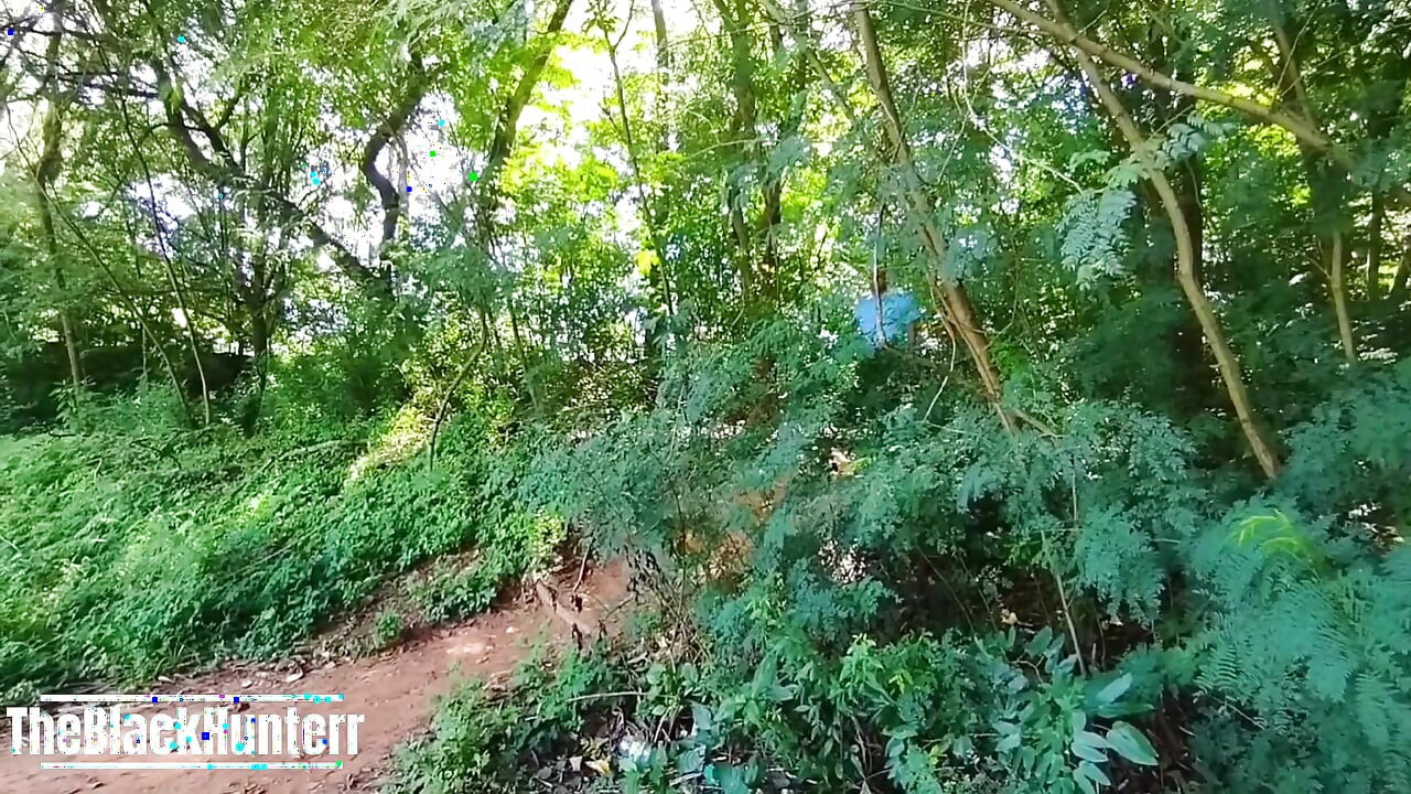 Passenger Caught the Bus Driver in the Woods