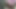 Sissy orgasm