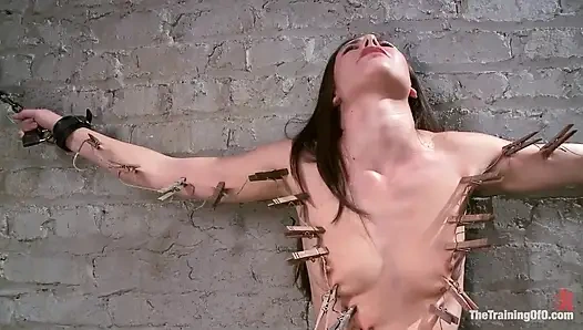 Тренировка Кейси Калверт - День 1