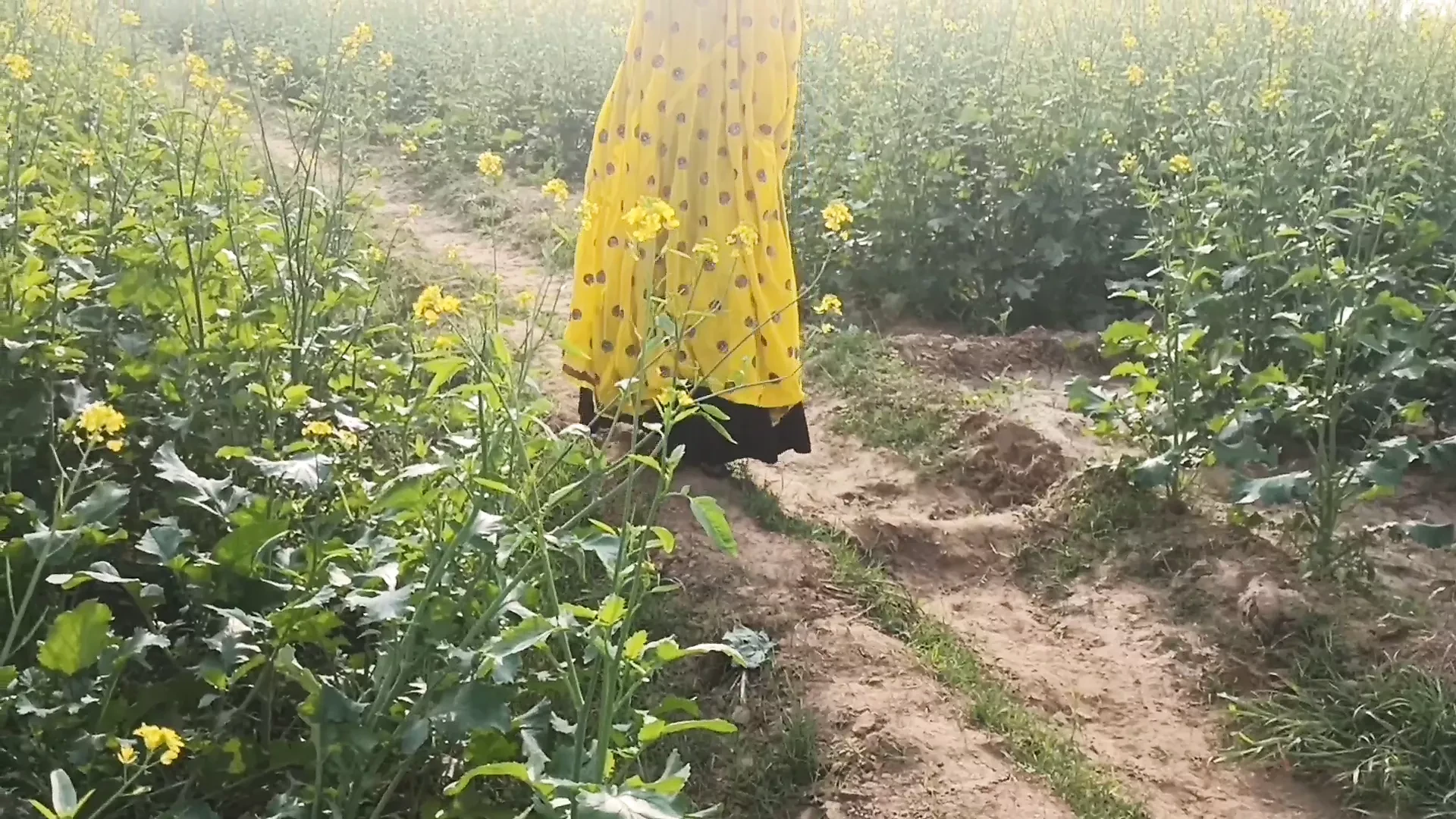 Mamta svastika ko khet me le jakar doggystyle me choda na otvorenom