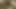 ヴィンテージ中国ポルノトップ8中国芸者 - 6