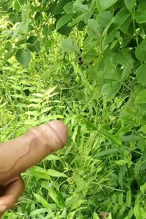 Big Cock Jerking in Beautiful Garden