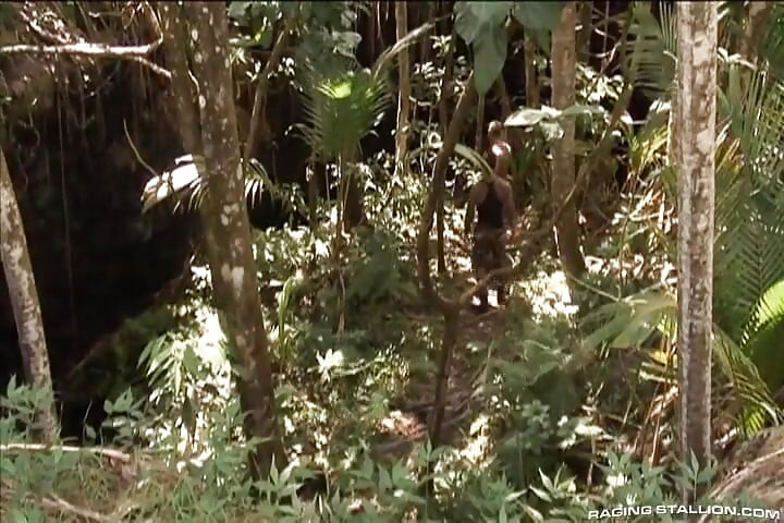 Lords of the Jungle