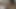 オフィスでお互いに遊ぶレズビアンオフィスの秘書