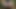 オールナイトファックマシン