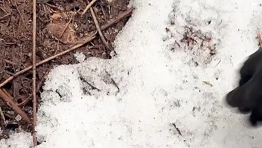 Ormanda Çok Havalı Işiyor
