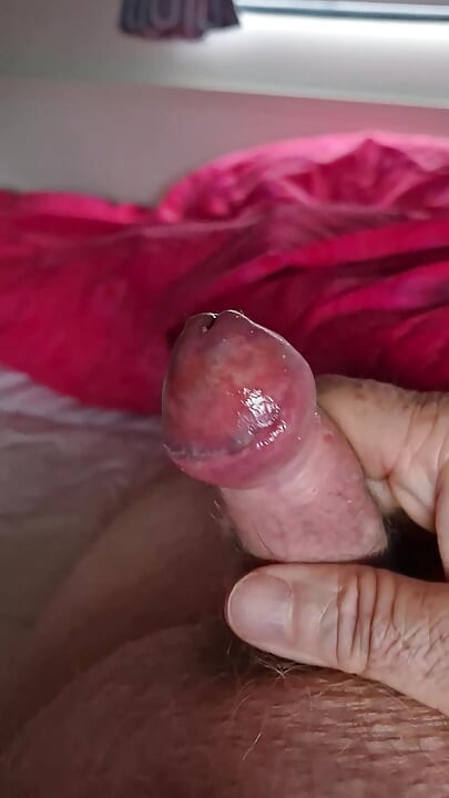 Holiday cum 2
