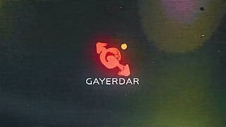 GAYERDAR