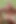 Cheerleader Cassie and American Football Team Captain Jake. Anal Sex with Curvy Blonde Woman