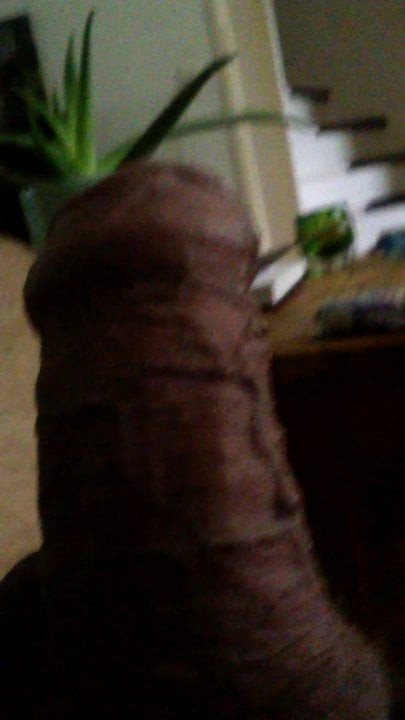 Uncut Cock