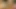 Zoey monroe ve karlee grey ile ilk lezbiyen deneyimi