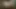 Finally Cumming Again