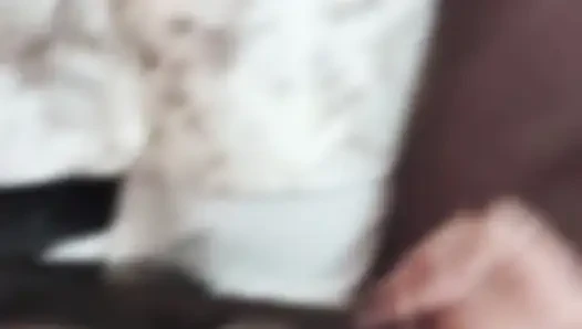 Meri randi biwi chudakkado ki tarah chud rahi hai hotel mein