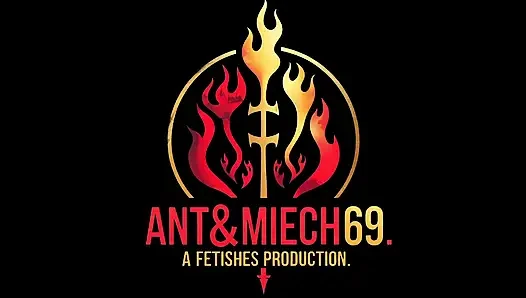 Ant steht dem großen bösen orgasmus gegenüber.