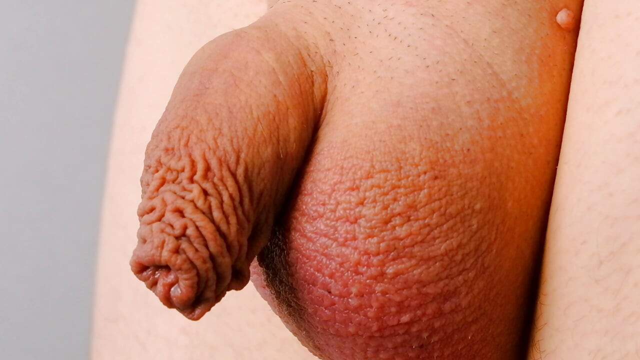 Very close up on small soft uncut penis and foreskin
